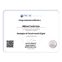 Digital Transformation Strategies INCAE Business School